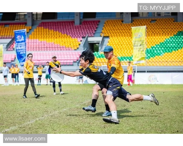 南京飞盘队领跑最新飞盘配合TOP10榜单引发热议